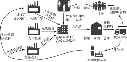 富碳农业——托起粮食安全的绿色之路